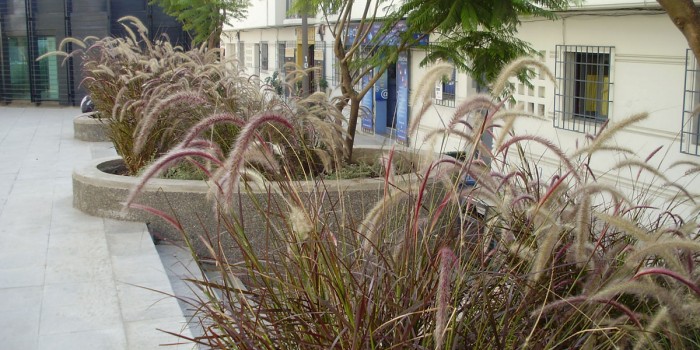 2009 | Plaza Felipe Dawes